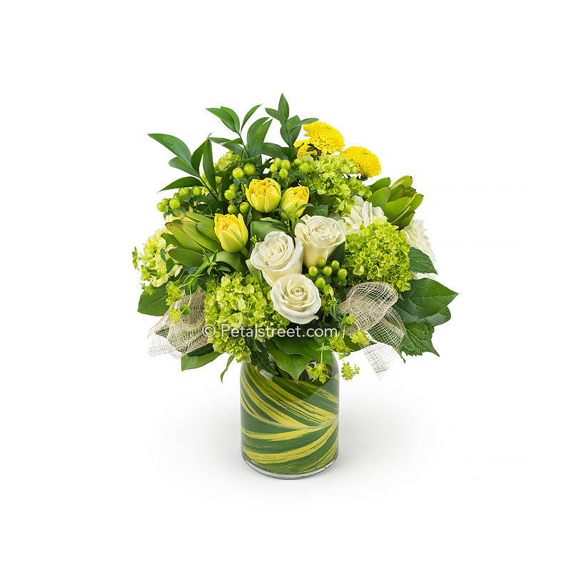 Gorgeous flower delivery in Point Pleasant NJ by Petal Street Flower Company florist, this green and yellow vase arrangement has white Roses, yellow Tulips, green and white Hydrangea, Hypericum Berries, Bupleurum, and a hand-wrapped Ginger leaf accent.