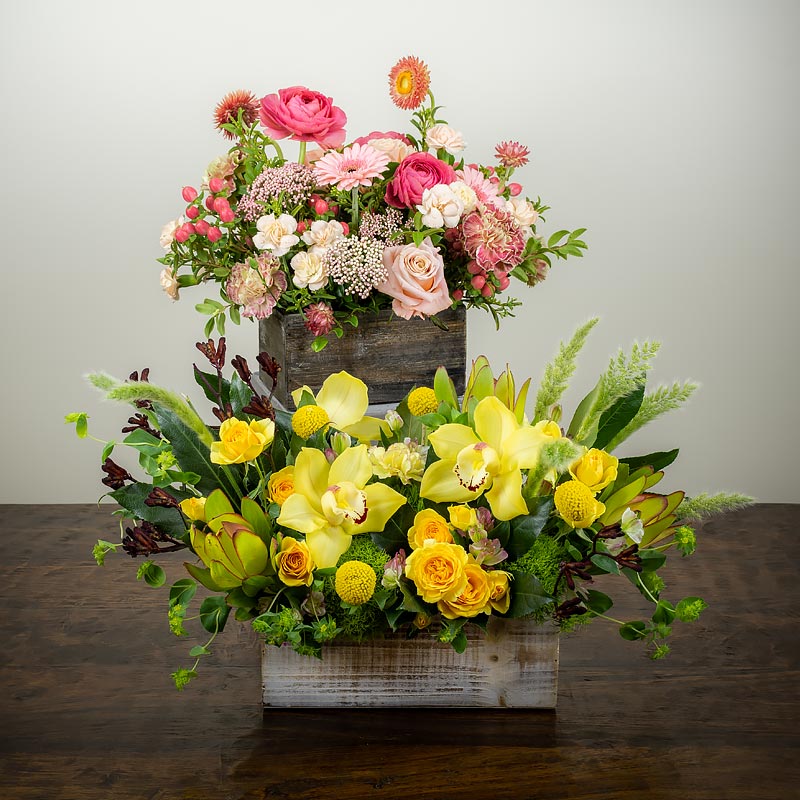 A pair of gorgeous and colorful low wide flower arrangements in wood box containers featuring Orchids, Ranunculus, Daisies, Roses, Straw Flowers, and assorted foliage at Petal Street Flower Company florist
