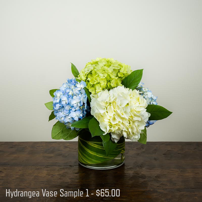 Short cylinder vase with white, green, and blue hydrangea arranged with Bupleurum and accent foliage