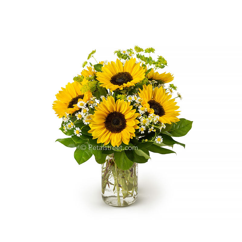 Sunflowers arranged in a mason jar with mini white flowers accents and green foliage made by Petal Street Flower Company florist