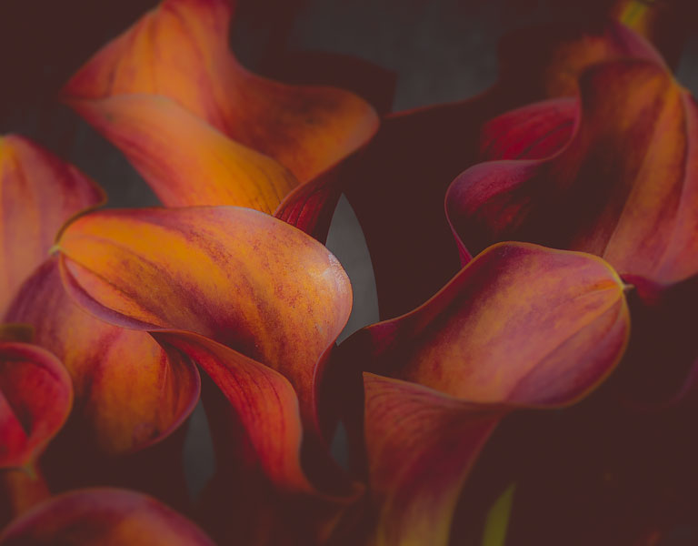 Sympathy Flowers for Delivery