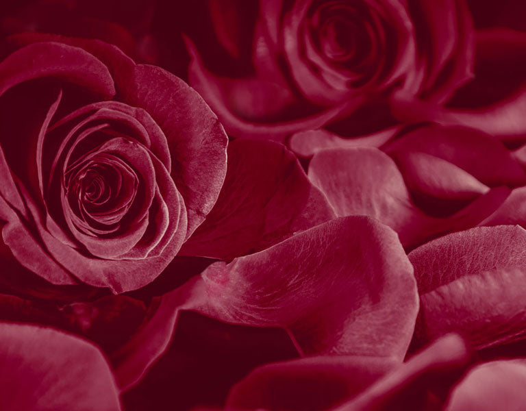 Valentine's Day Flowers