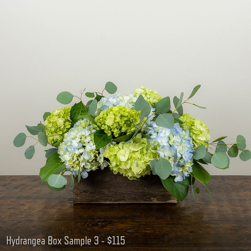 Low wide wood garden box with blue and green Hydrangea and Eucalyptus