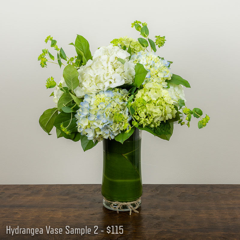 Tall vase with white, green, and blue hydrangea arranged with Bupleurum and accent foliage