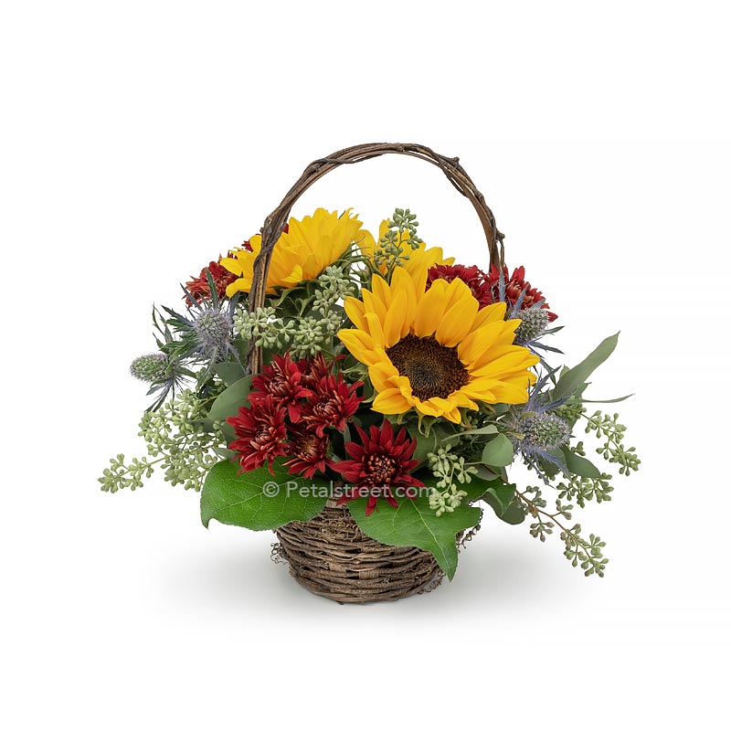 Sunflowers, Mums, and Eucalyptus arranged in a  basket for Autumn.