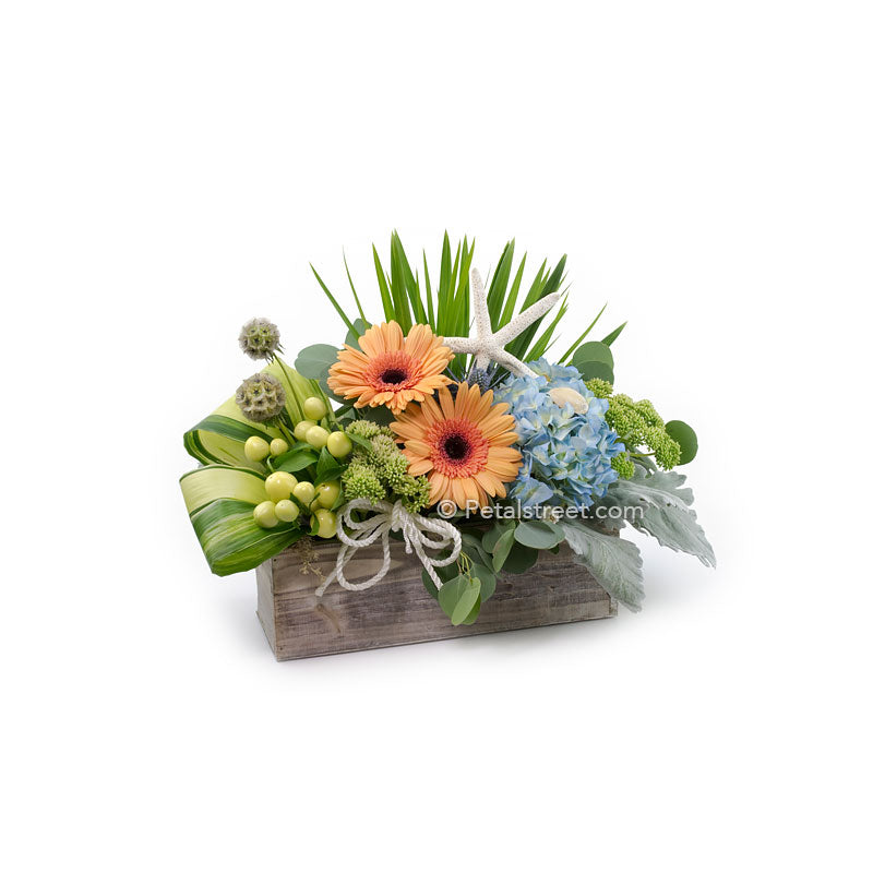 Nautical or coastal theme flower arrangement with shells and starfish, a gorgeous piece by Petal Street Flower Company.