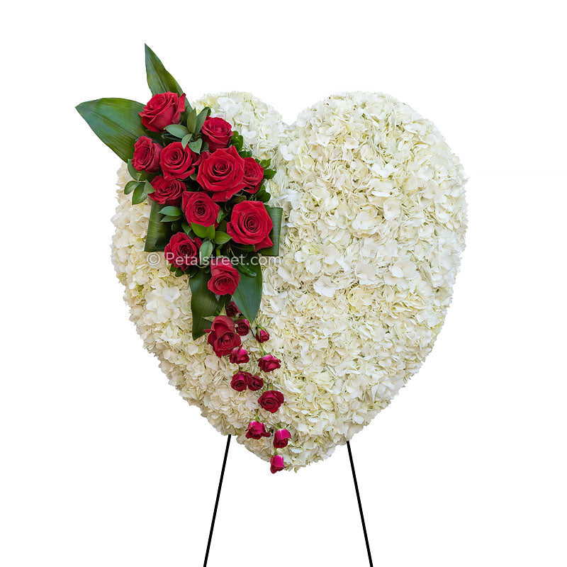 Funeral flowers bleeding heart by Petal Street Flower Company with white Hydrangea base and rich red Roses.