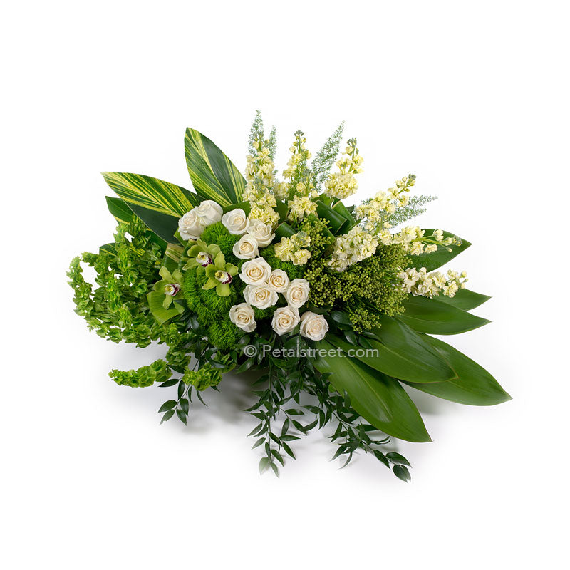 Modern style green and white casket spray, white Roses, Snapdragons, Bells of Ireland, and large lush foliage accents.