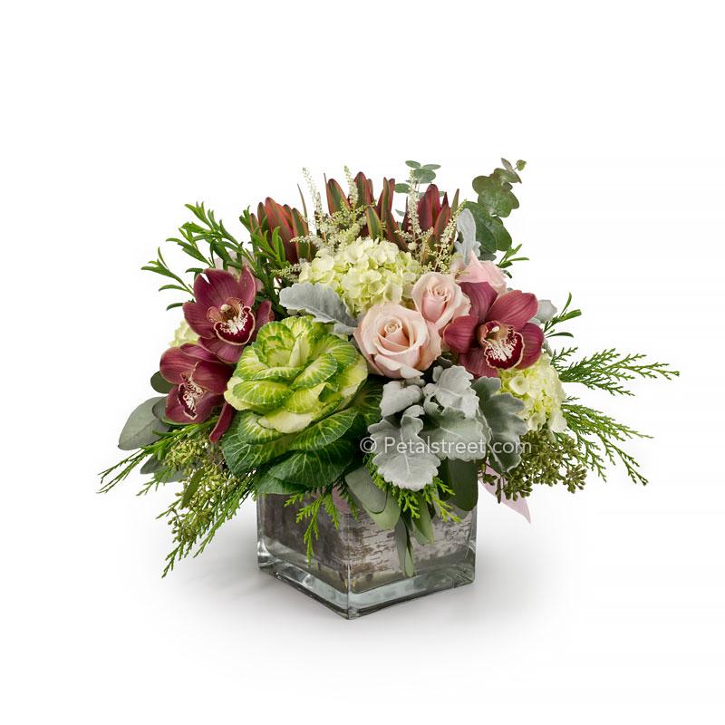 A Christmas flower arrangement with green Kale, pink Roses, maroon Orchids, green and white Hydrangea, and seasonal greenery in a cube vase with Birch ribbon wrapped within.