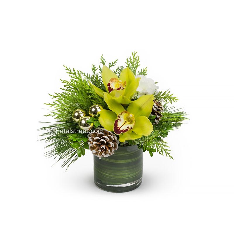 Small vase flower arrangement for Christmas with green Cymbidium Orchids arranged in seasonal greenery with gold ornament and Pine Cone accents.
