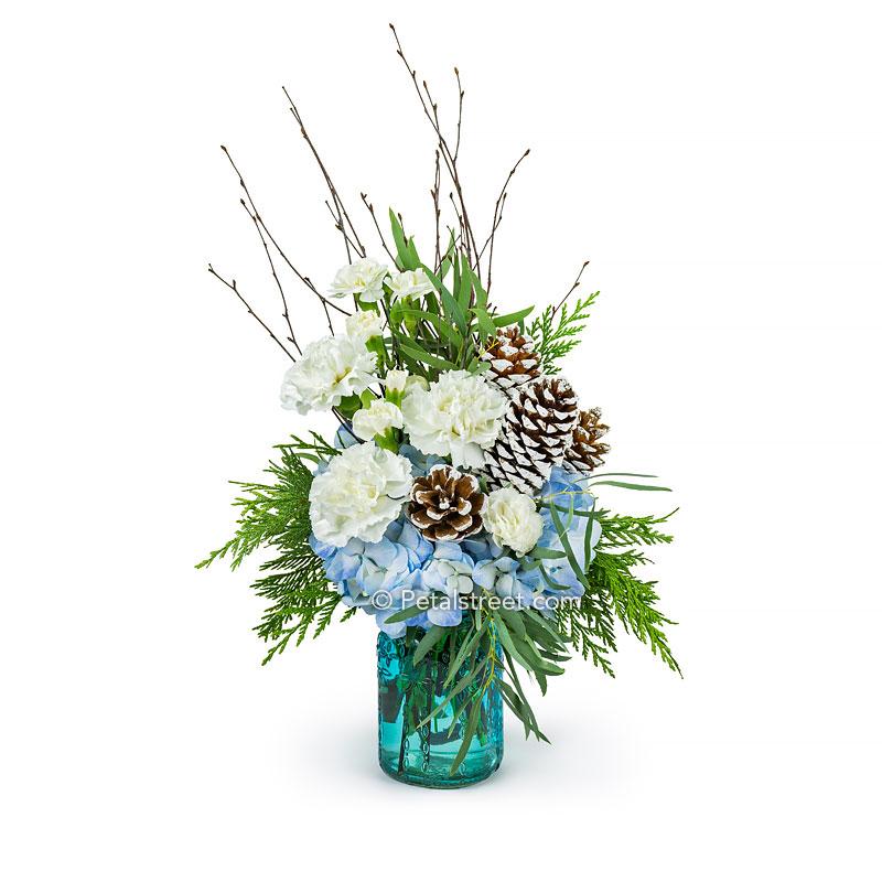 A coastal style Christmas flower arrangement with blue Hydrangea, bright white Carnations, Eucalyptus, seasonal greens, frosted Pine Cones, and Birch Twigs in a blue glass mason jar.