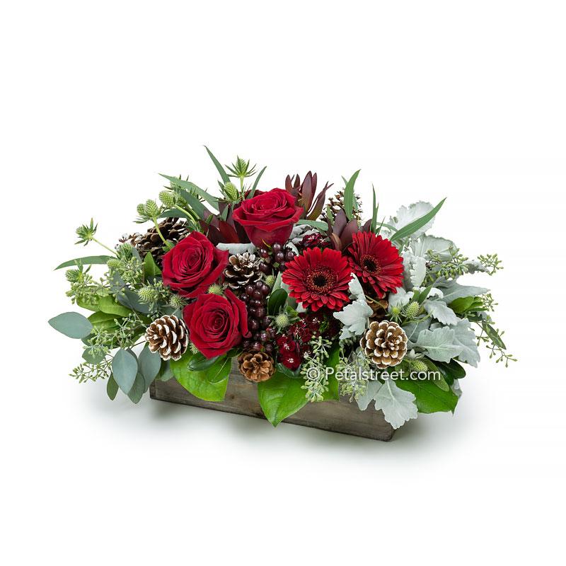 Christmas flower arrangement in a wood box with red Roses, red Gerbera Daisies, Hypericum Berries, Sweet William, Dusty Miller, Thistle, and dried Pine Cone accents.