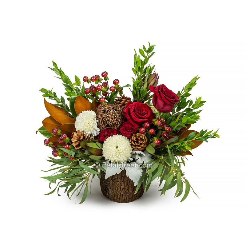 Bark wrapped vase with red Roses, white Mums, red Hypericum Berries, Magnolia Leaves, Dusty Miller, Eucalyptus, and accent greenery.