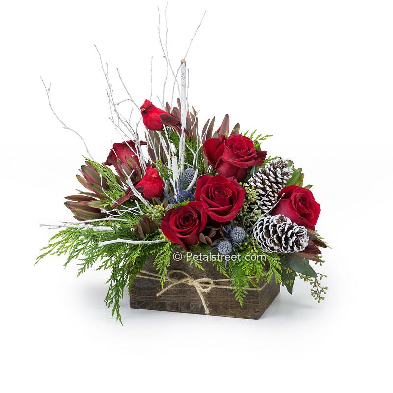 Festive wood box with red Roses, green Cedar foliage, Thistle, frosted Pine Cones, Leucadendron, Birch Branches, and red Cardinal Birds.