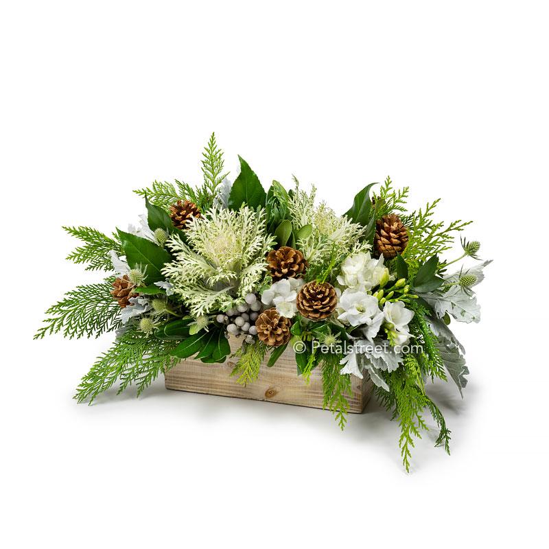 Winter holiday arrangement with green white Kale, white Hydrangea, Freesia, Dusty Miller, Brunia, Thistle, Pine Cones, Aralia Leaves, and mixed seasonal greens arranged in a wood box.