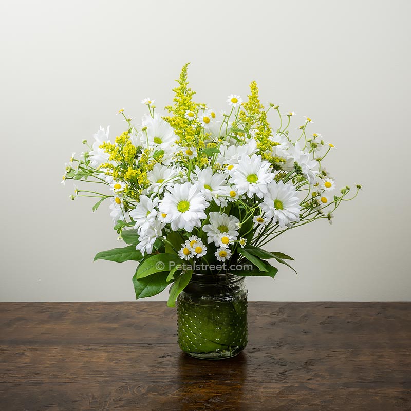 Pretty vase of white Daisies with Solidago and Chamomile accents by Petal Street Flower Company florist in Point Pleasant NJ