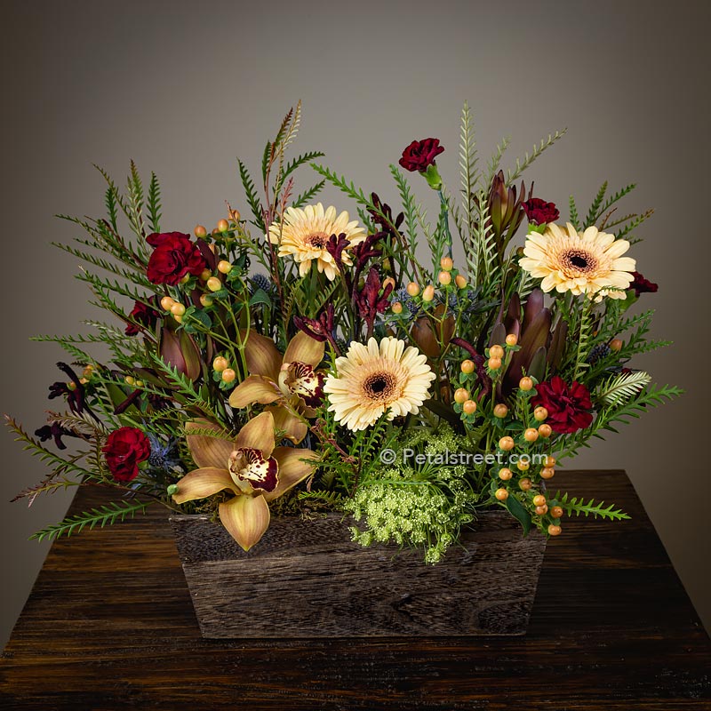 A unique hedge style arrangement for fall season with mini peach gerbera daisies, cymbidium orchids, Leucadendron, and mixed foliage texture accents in a warm rustic wood box by Petal Street Flower Company florist in Point Pleasant nj