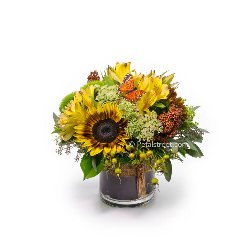 Compact cylinder vase flower arrangement with a sunflower, alstroemeria, and mixed fall season accents.