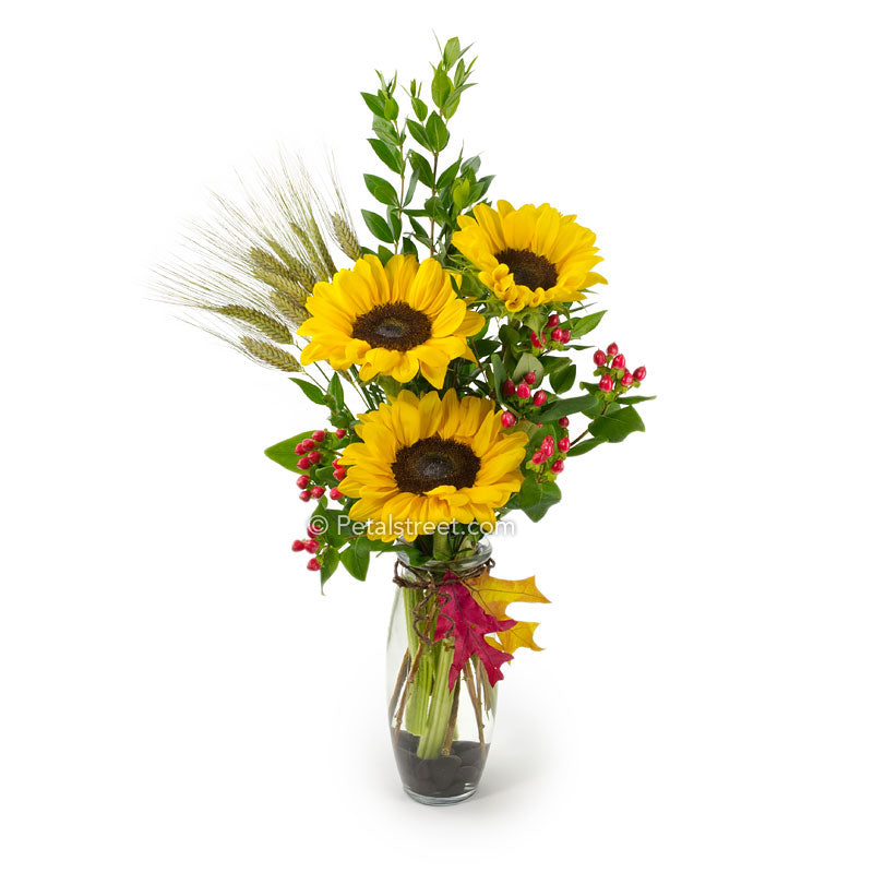 Sunflowers arranged in a glass vase with red Berries and colorful Oak Leaf and Wheat accents for Fall.