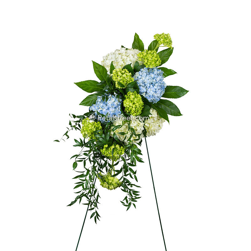 A beautifully simple standing spray made with white, blue, and green Hydrangea arranged with lush accent foliage.