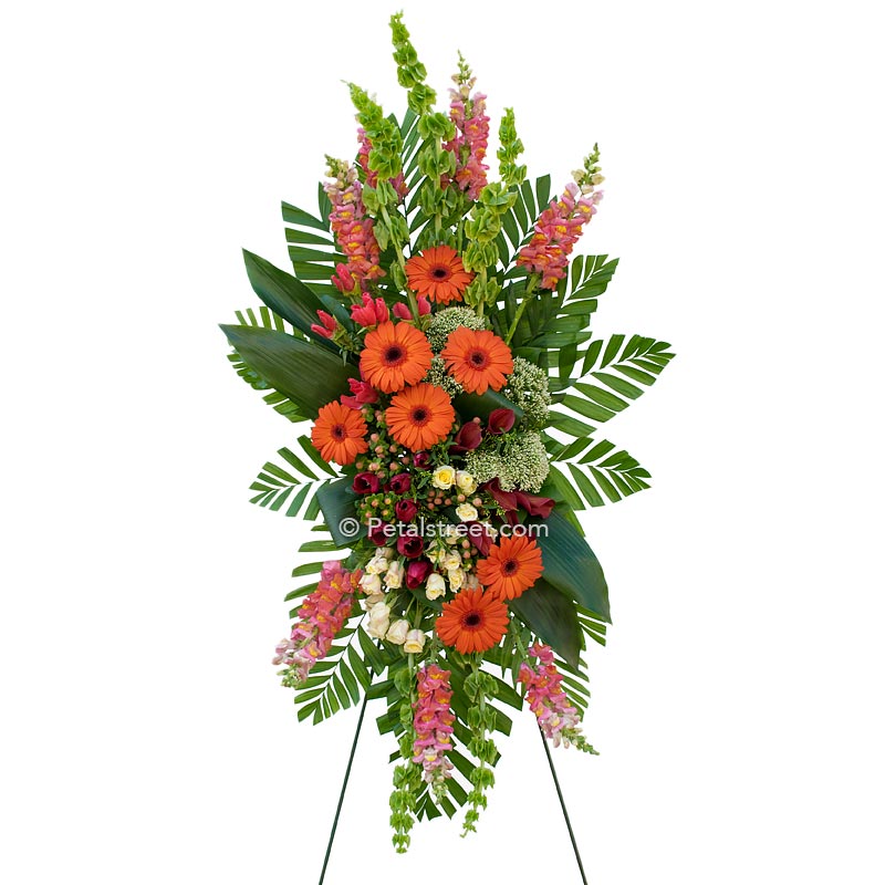 Standing spray of funeral flowers with orange Daisies and Snapdragons and mixed green accents.