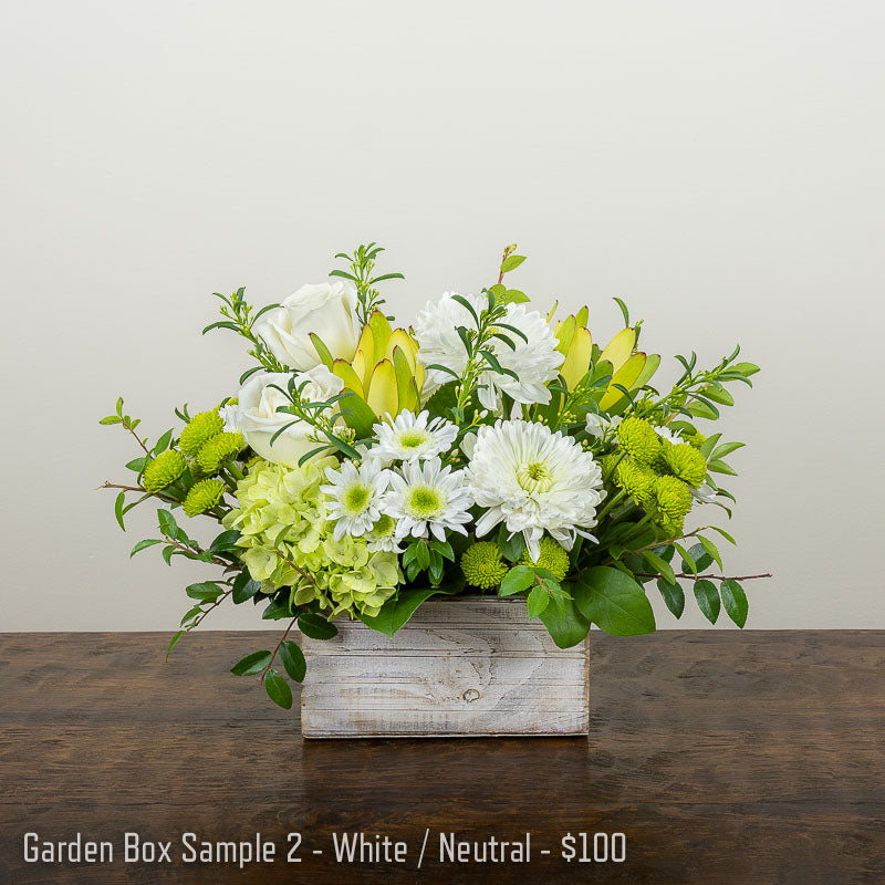 A pretty white and green flower arrangement with Roses, Mums, Hydrangea, and assorted accent foliage in a wood box container