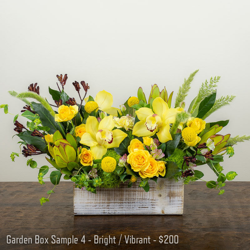 A  brightly colored yellow and green flower arrangement with Orchids, Craspedia, mini Roses, Green Trick, Leucadendron, and assorted accent foliage in a wood box container