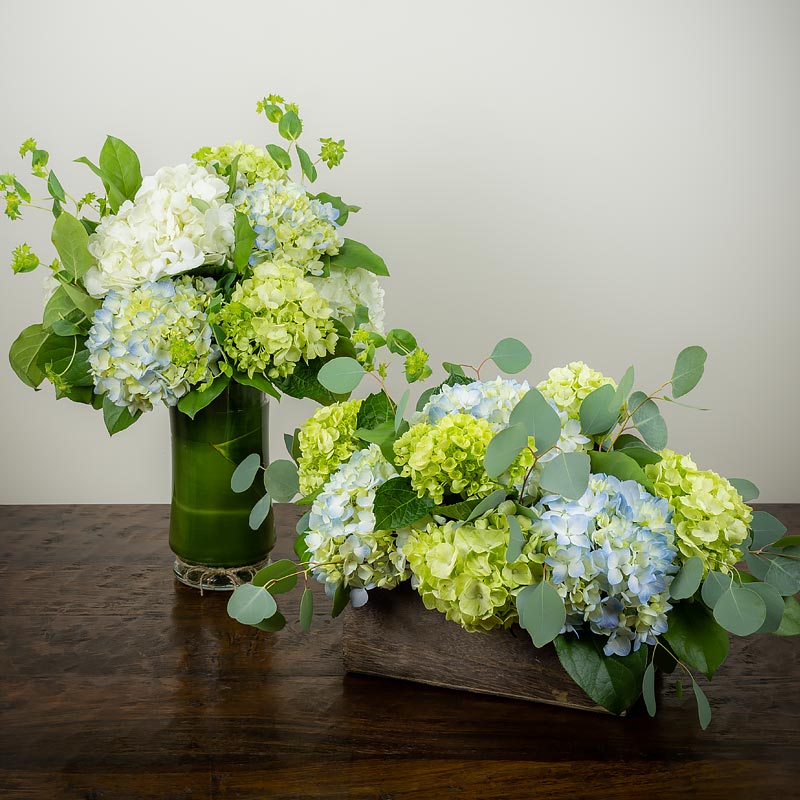 Two beautiful Hydrangea flower arrangements, one in a tall vase and one in a low wide wood garden box with accent greenery at Petal Street Flower Company florist