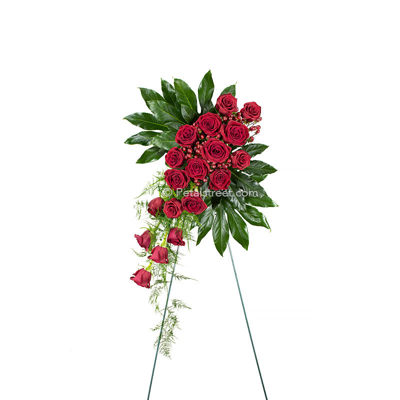 Funeral standing spray with 18  red Roses arranged cascading style with lush green Aralia Leaves and accent foliage.
