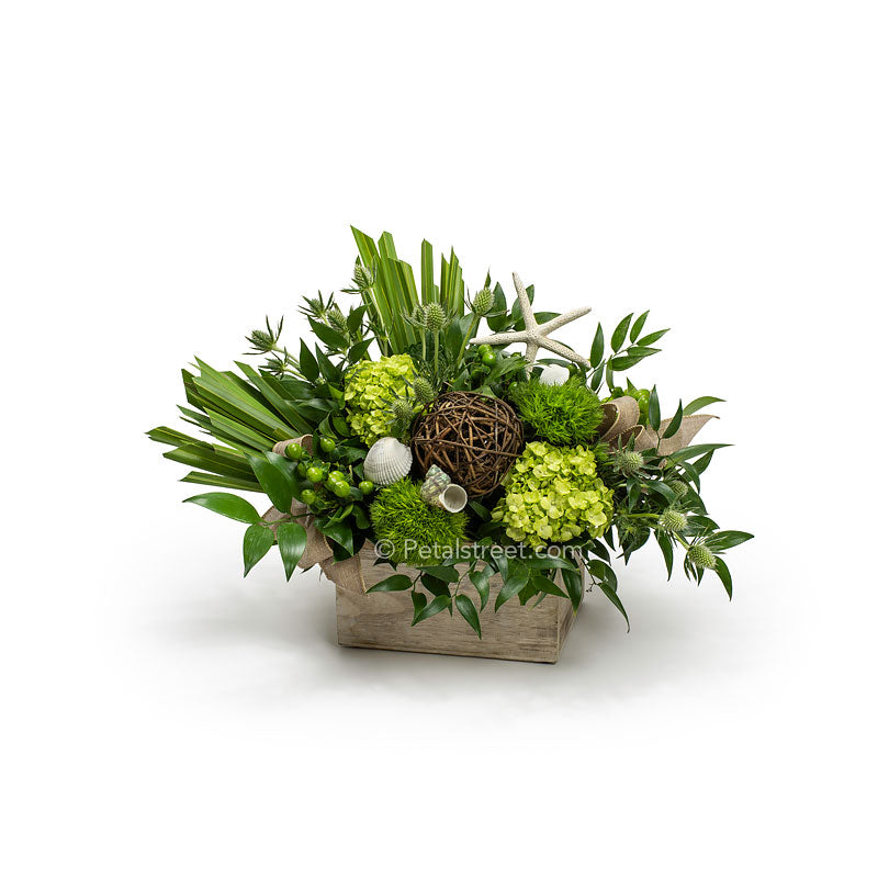 Sea shell flower arrangement for delivery, features hydrangea, green trick, thistle, hypericum berries, fan palm, and ruscus leaves, with starfish and sea shell accents in a wood box by Petal Street Flower Company florist.