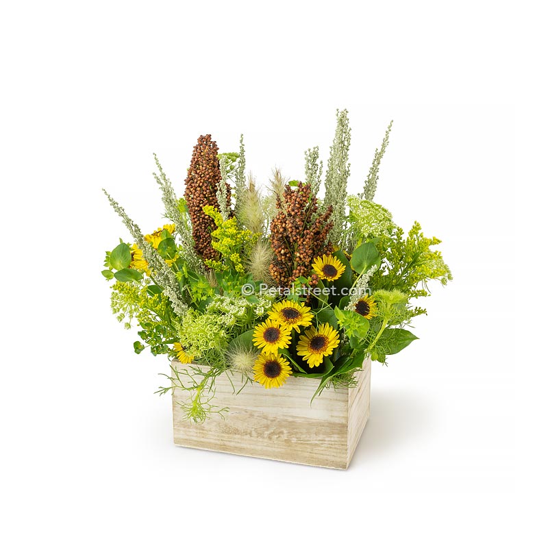 Autumn wild flower arrangement in a wooden box with mini yellow Daisy Pods, Solidago, Lace Flower, Sourghum, and accent foliage made by Petal Street Flower Company florist.