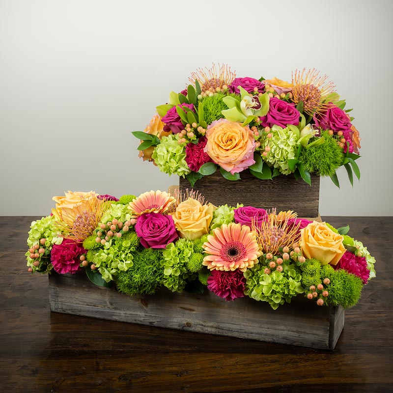 A pair of low wide vibrant garden box table arrangements packed with flowers such as Roses, Gerbera Daisies, Pin Cushion Protea, Hypericum berries, Orchids, and mini Hydrangea at Petal Street Flower Company florist