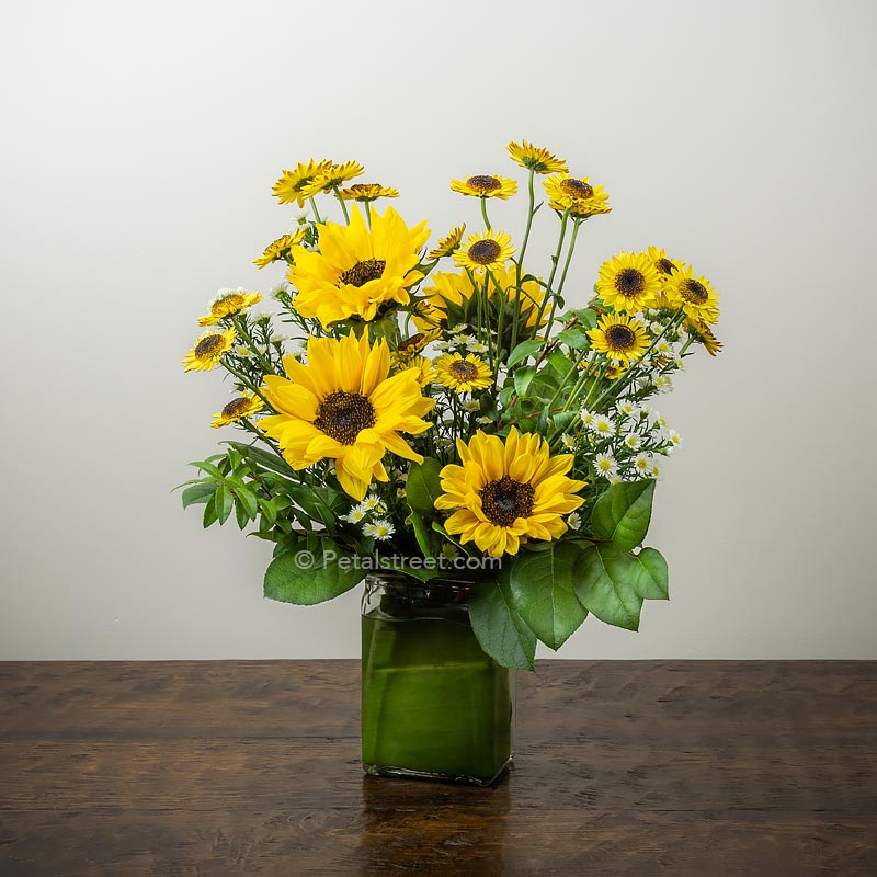 Bright Sunflowers in a vase with yellow pom daisy accents and greenery