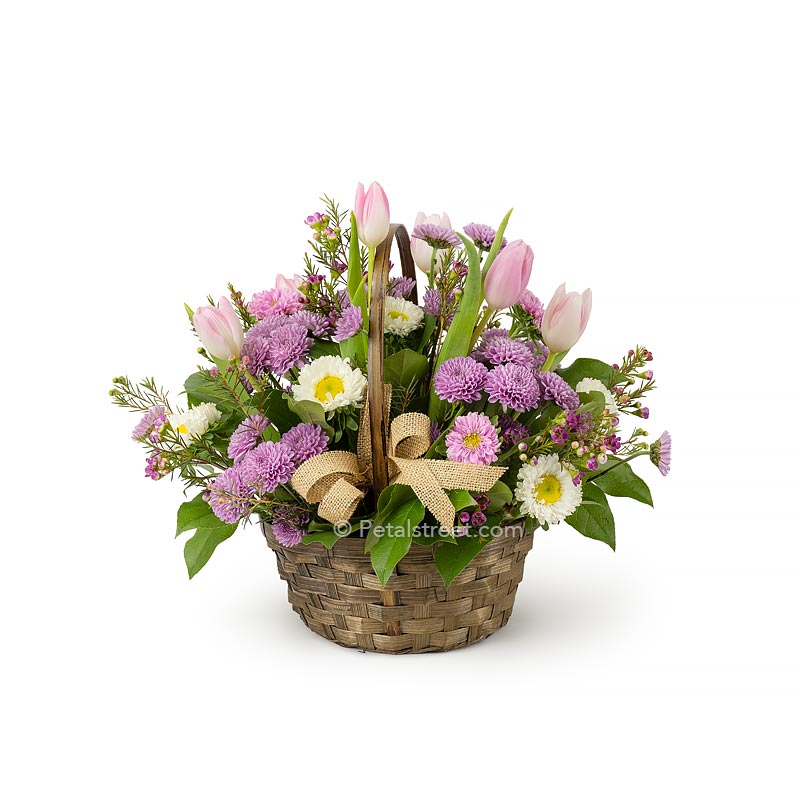 Spring basket of fresh cut pink and white flowers such as Tulips, Aster, and mini mums