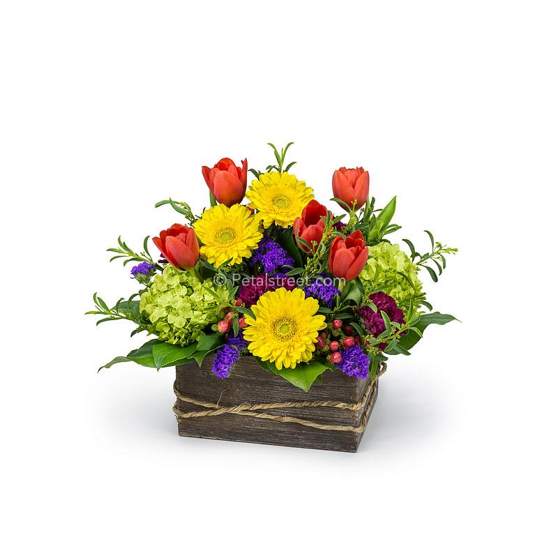 Mini Gerbera Daisies, Lisianthus, mini Hydrangea, Carnations, Tulips, Hypericum Berries, and assorted accents arranged in a wood box.