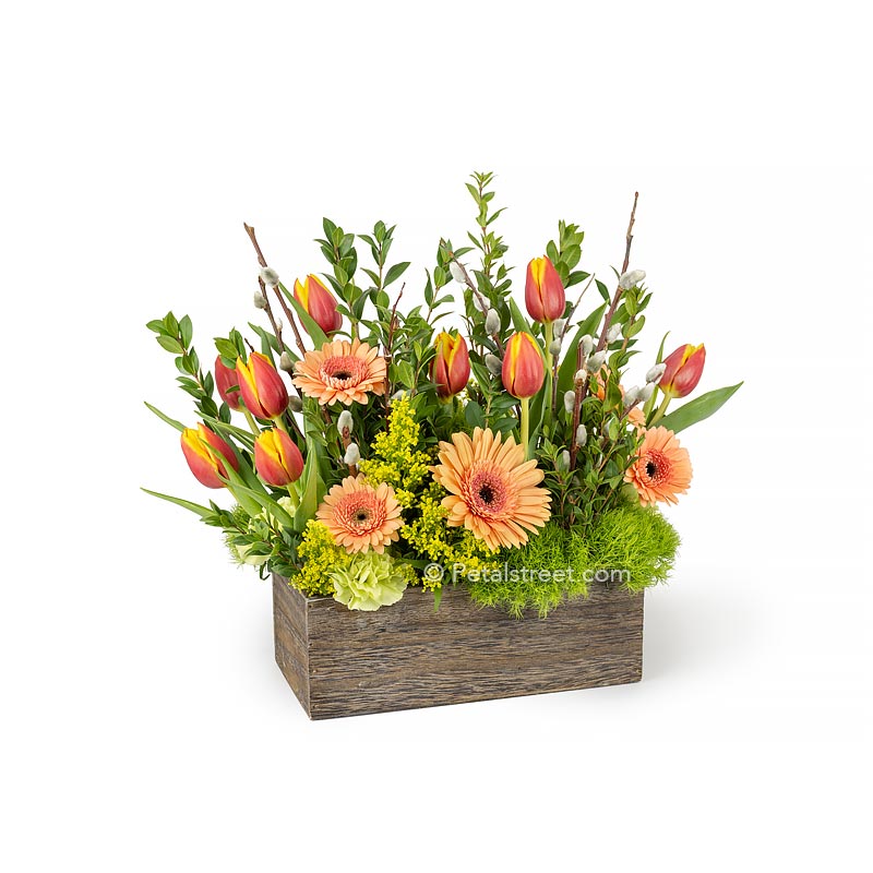 Gorgeous Spring flower arrangement with orange Tulips , peach Daisies, Pussy Willow, and accent foliage in a rustic wood box by Petal Street Flower Company florist.