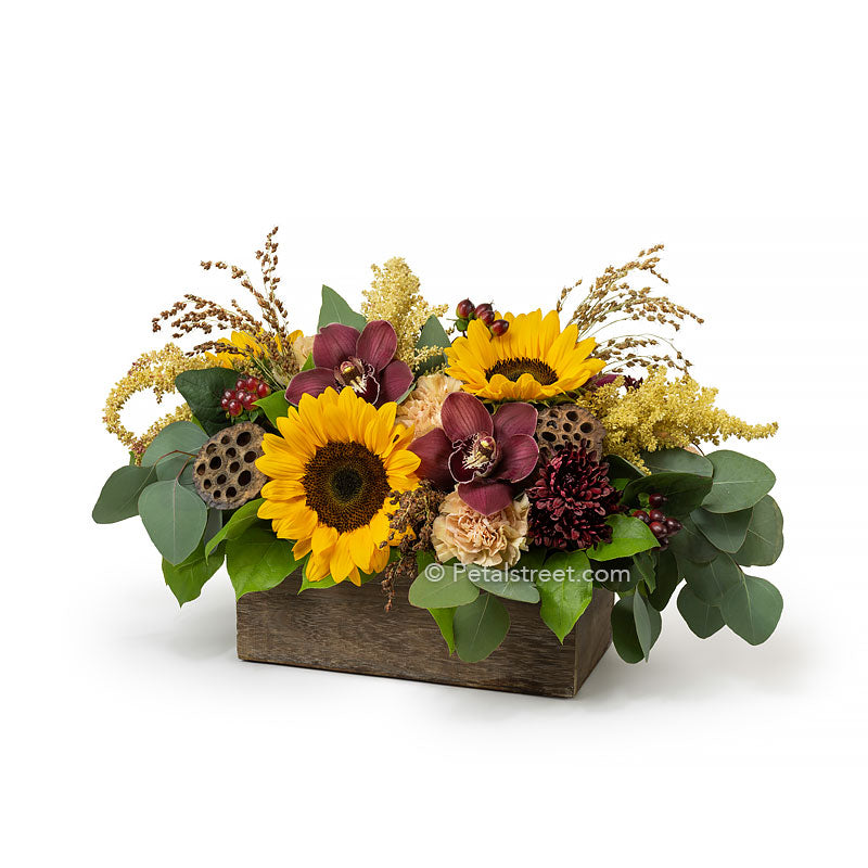 Bright Sunflowers, burgundy Orchids, soft Carnations, Mums, Amaranthus, dried Lotus Pods, Eucalyptus, and accent foliage arranged in a weathered wood box by Petal Street Flower Company florist.