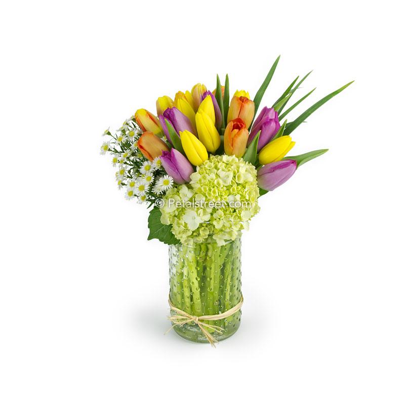 Colorful mix of Tulips in a hobnail jar with green mini Hydrangea and white Aster.