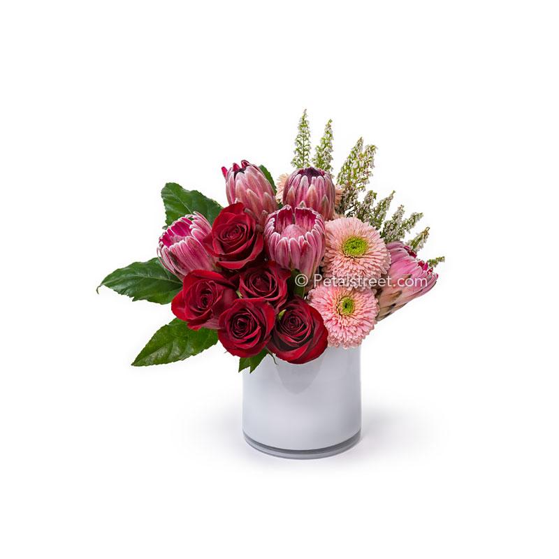 A modern floral arrangement with red Roses, Protea, Gerbera Poms, pink accent flowers, and Aralia Leaves in a white glass cylinder.